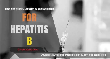 Hepatitis B Vaccination Schedule: How Often Should You Get Vaccinated?