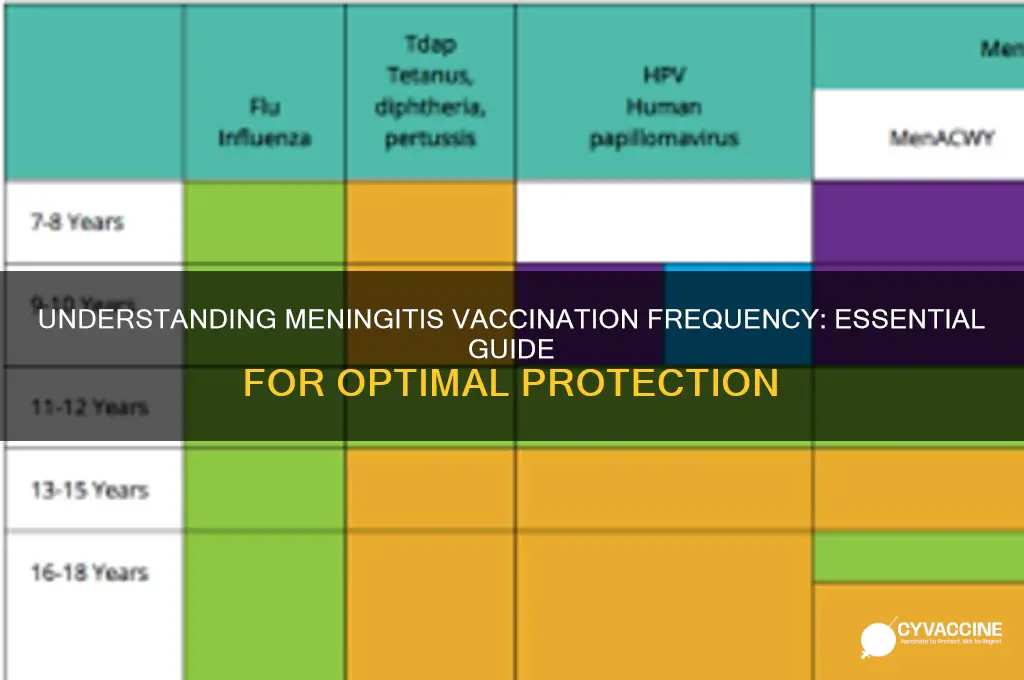 how many times should you be vaccinated for meningitis