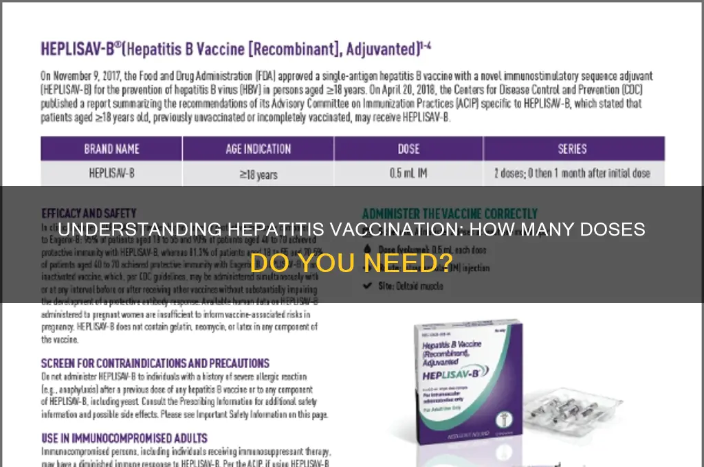 how many times vaccinated for hepatitis