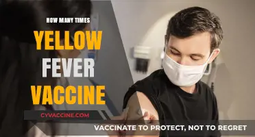Yellow Fever Vaccine: How Often Do You Need It?