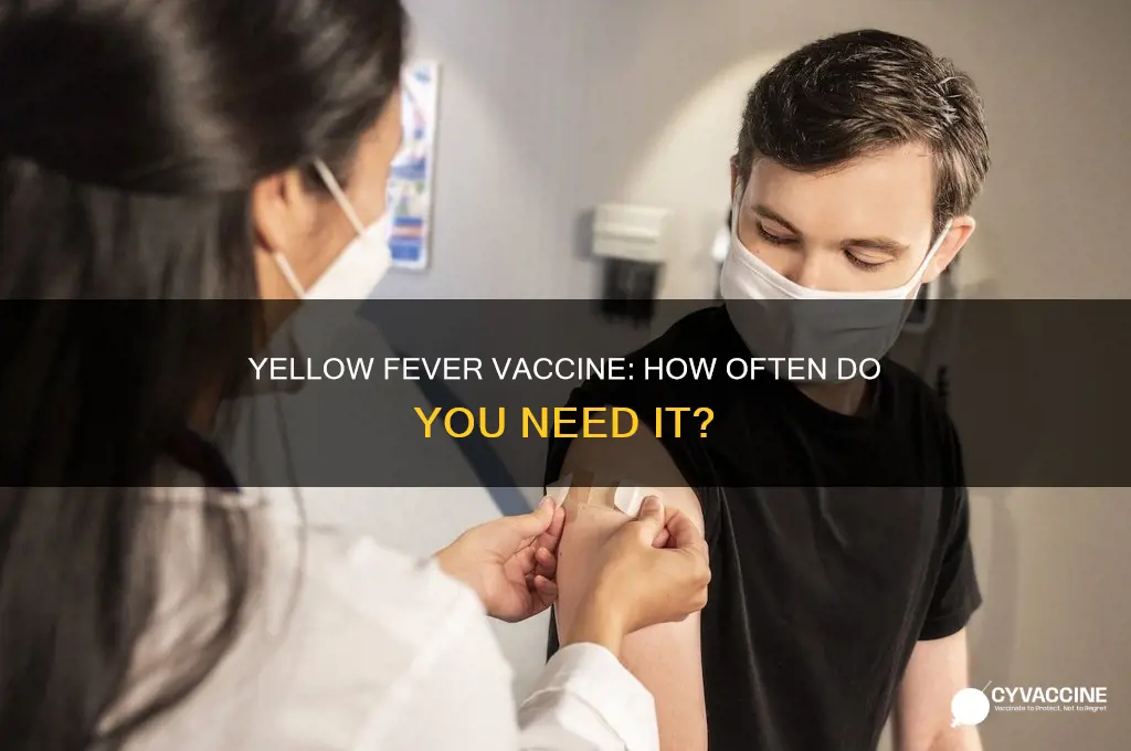 how many times yellow fever vaccine