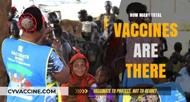 Exploring the Global Count: How Many Vaccines Exist Worldwide?