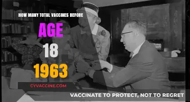 Childhood Vaccination Schedule in 1963: A Comprehensive Overview