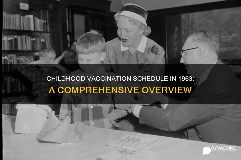 how many total vaccines before age 18 1963