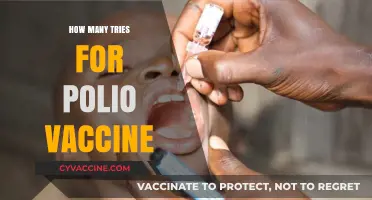 Polio Vaccine Development: Understanding the Trials Behind the Lifesaving Doses
