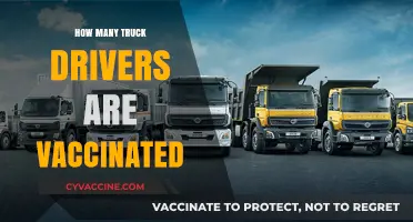 Vaccination Rates Among Truck Drivers: Current Trends and Insights