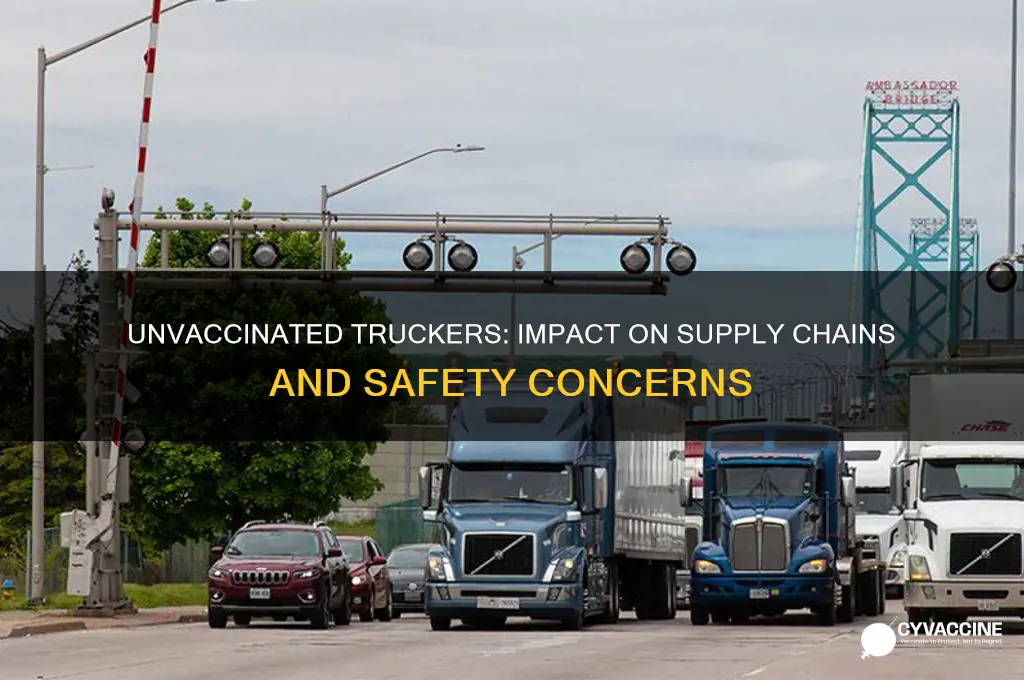 how many truckers are not vaccinated