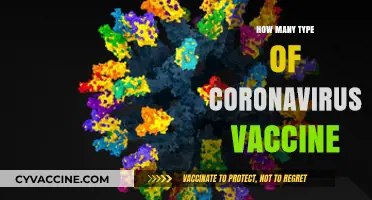Exploring the Diverse Types of Coronavirus Vaccines Available Today