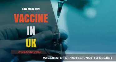 Exploring the Diverse Types of Vaccines Available in the UK