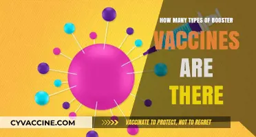 Exploring the Diverse Range of Booster Vaccine Types Available