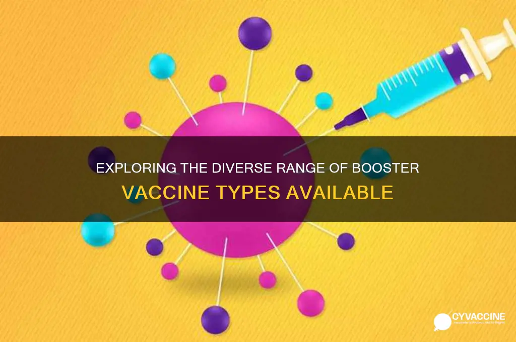 how many types of booster vaccines are there