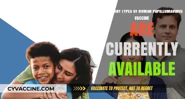 Exploring the Varieties of HPV Vaccines Available Today
