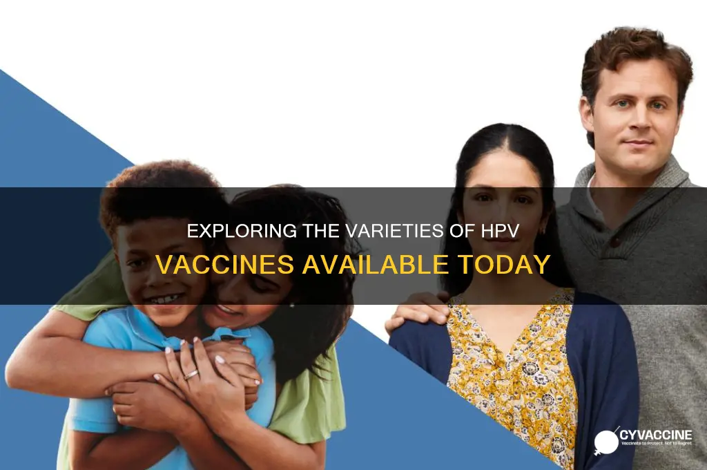 how many types of human papillomavirus vaccine are currently available