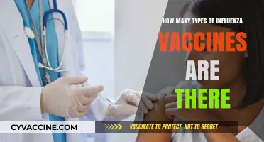 Exploring the Diverse Range of Influenza Vaccines Available Today