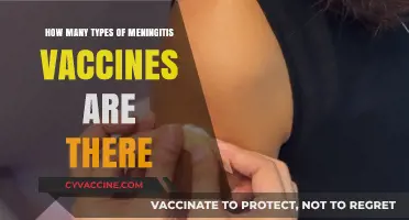 Understanding Meningitis Vaccines: Exploring the Different Types Available