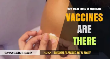 Understanding Meningitis Vaccines: Exploring the Different Types Available