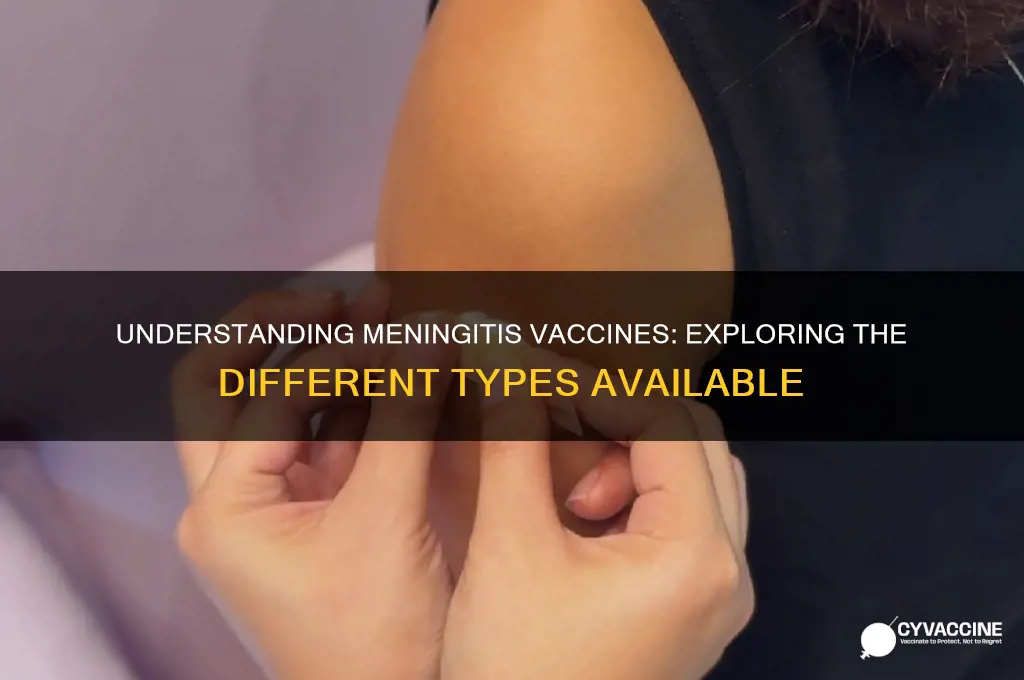 how many types of meningits vaccines are there
