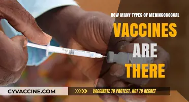 Understanding Meningococcal Vaccines: Exploring the Various Types Available