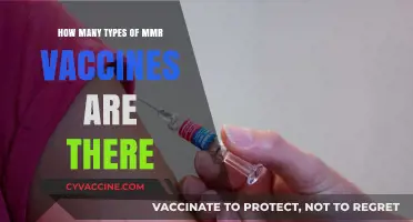 Exploring the Different Types of MMR Vaccines Available Today