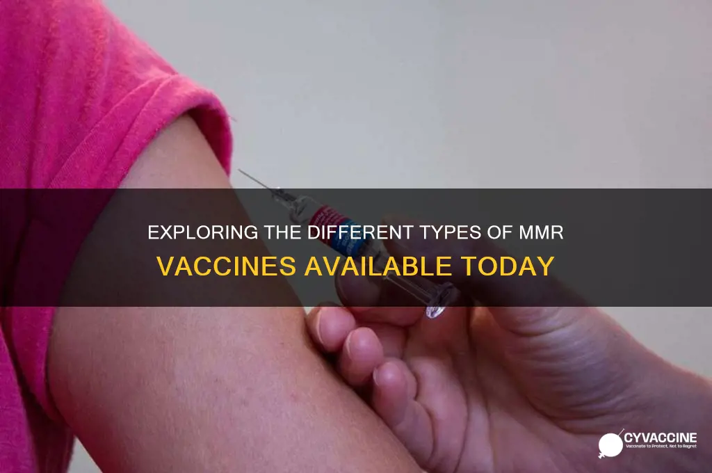 how many types of mmr vaccines are there