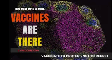 Exploring the Diverse World of mRNA Vaccines: Types and Uses
