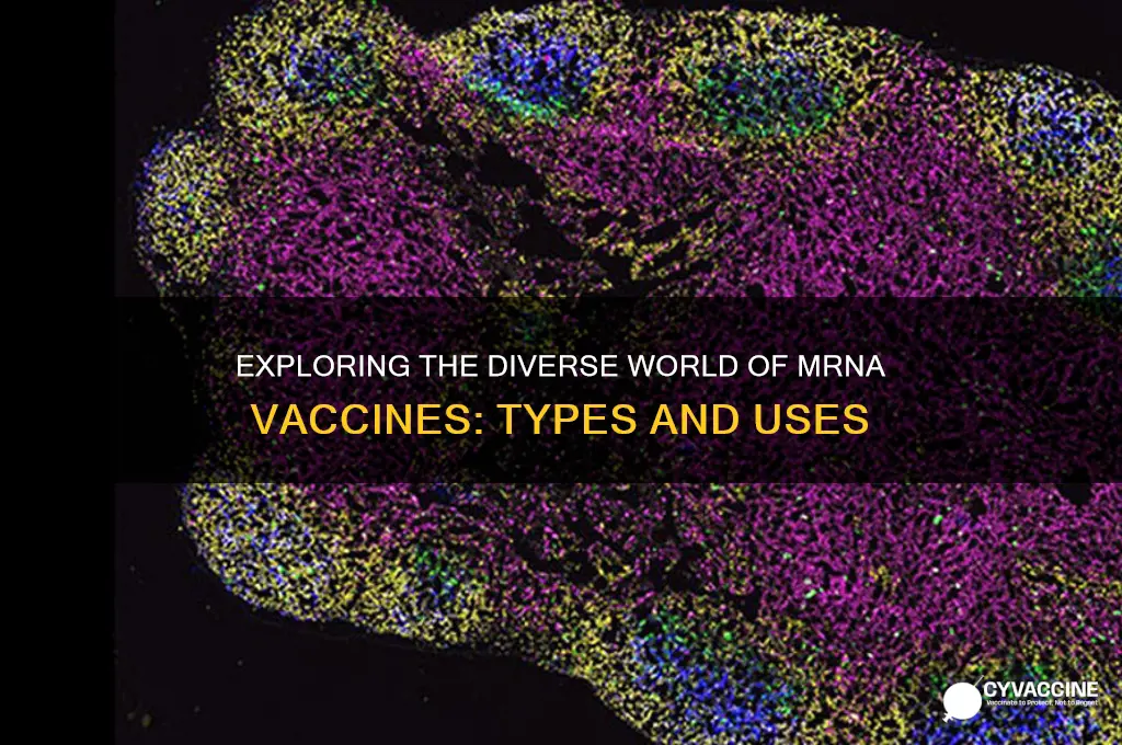 how many types of mrna vaccines are there