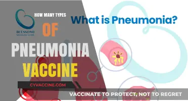 Understanding Pneumonia Vaccines: Types, Benefits, and Who Needs Them