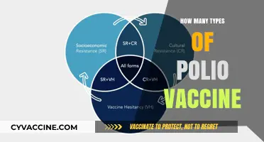 Exploring the Different Types of Polio Vaccines Available Today