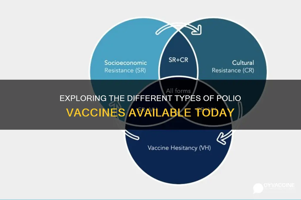 how many types of polio vaccine