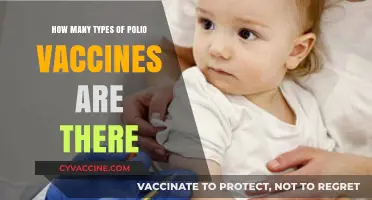 Exploring the Varieties of Polio Vaccines: Types and Uses