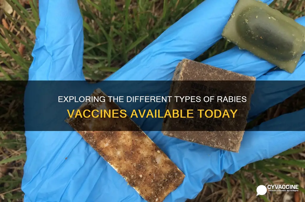 how many types of rabies vaccine are there