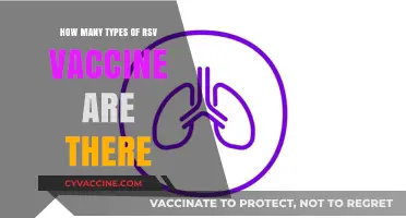 Exploring the Different Types of RSV Vaccines Available Today