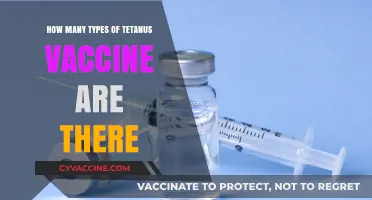 Exploring the Different Types of Tetanus Vaccines Available Today