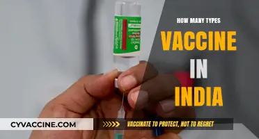 Exploring the Diverse Types of Vaccines Available in India