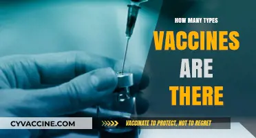Exploring the Diverse World of Vaccines: Types and Purposes