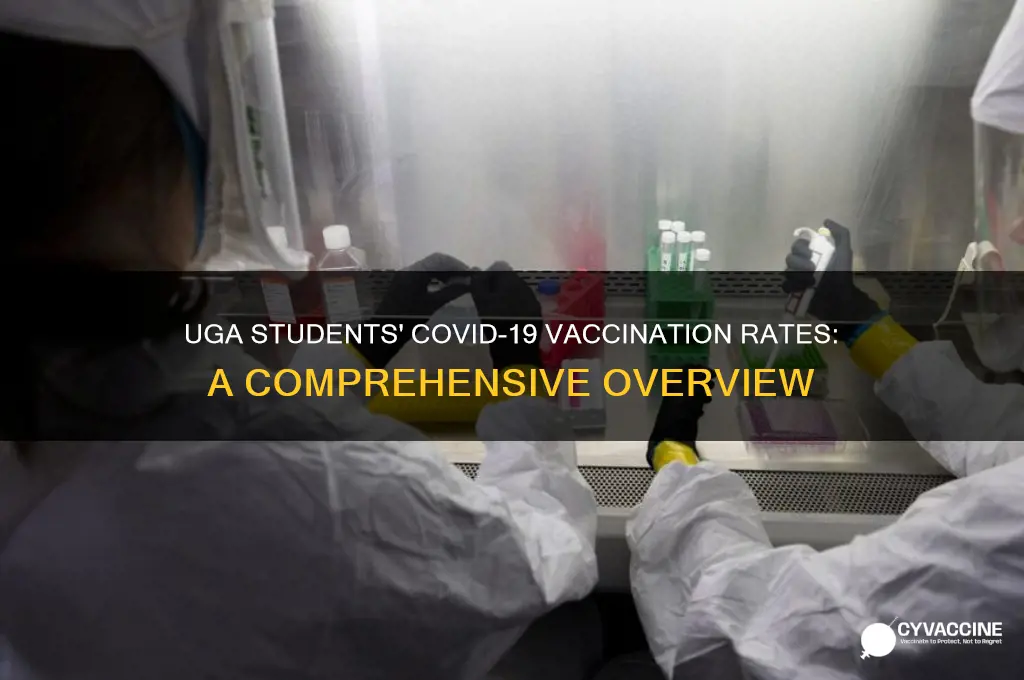 how many uga students are vaccinated