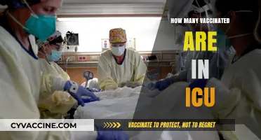 Vaccinated in ICU: Analyzing COVID-19 Hospitalization Rates and Trends