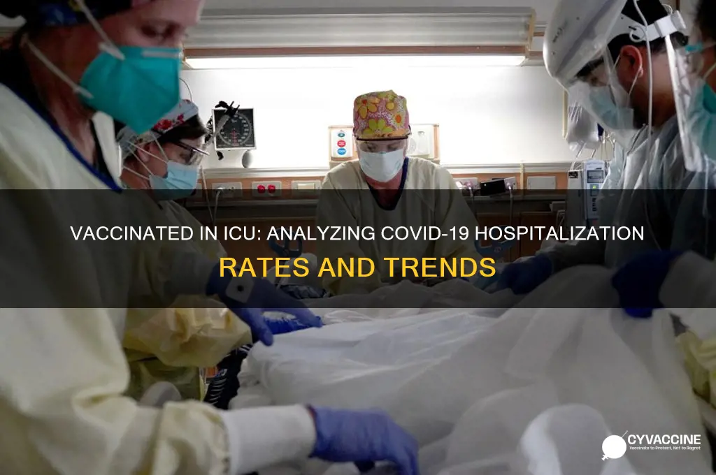 how many vaccinated are in icu