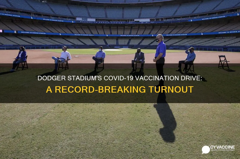how many vaccinated at dodger stadium
