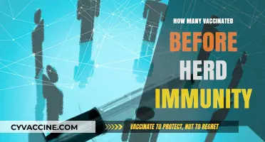 Vaccinated Population Needed: Achieving Herd Immunity Against COVID-19