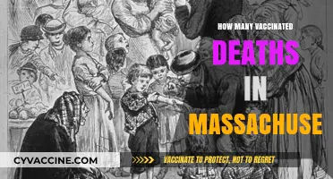 Vaccinated Deaths in Massachusetts: Analyzing COVID-19 Data and Trends