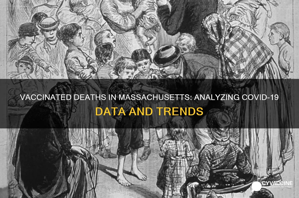 how many vaccinated deaths in massachusetts