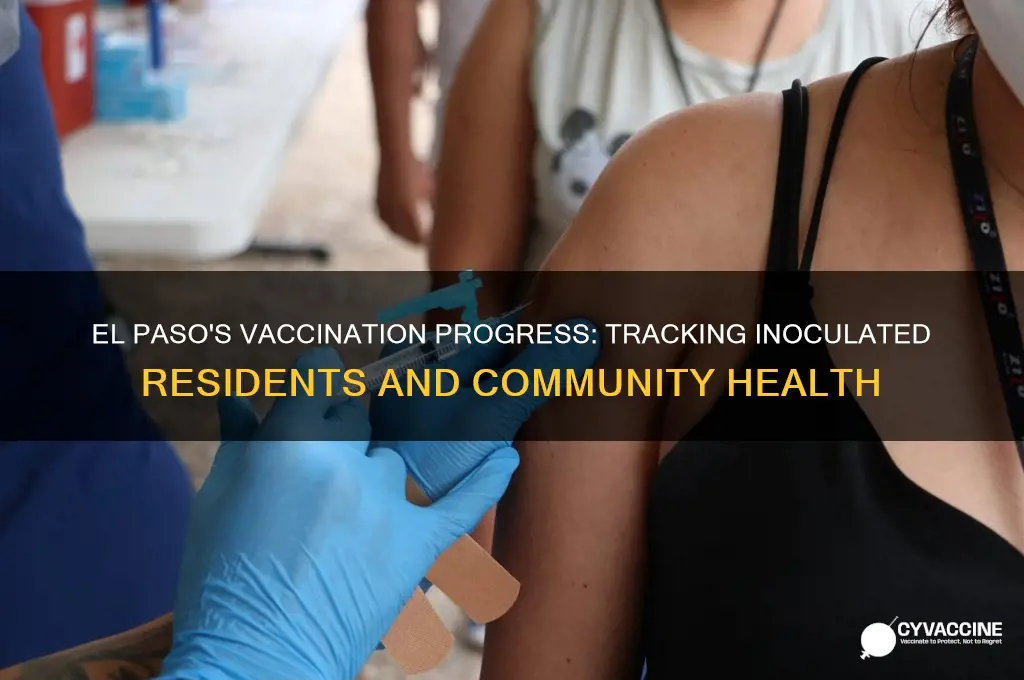 how many vaccinated in el paso