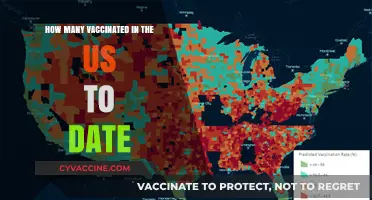 US Vaccination Progress: Tracking Total Inoculations to Date