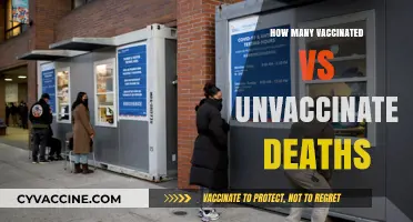 Vaccinated vs. Unvaccinated: Analyzing COVID-19 Death Rates and Trends
