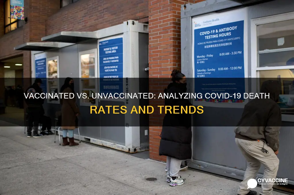 how many vaccinated vs unvaccinated deaths