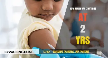 Essential Vaccinations for Toddlers: A 2-Year-Old's Immunization Schedule