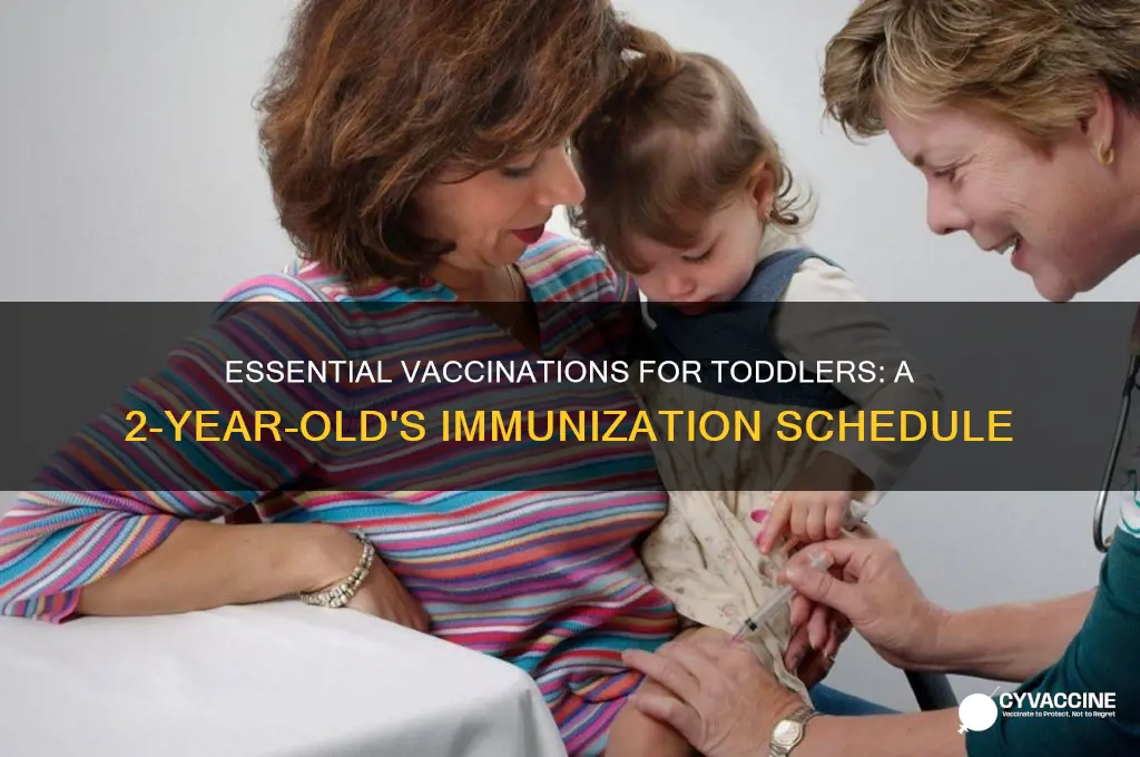 how many vaccinations at 2 yrs