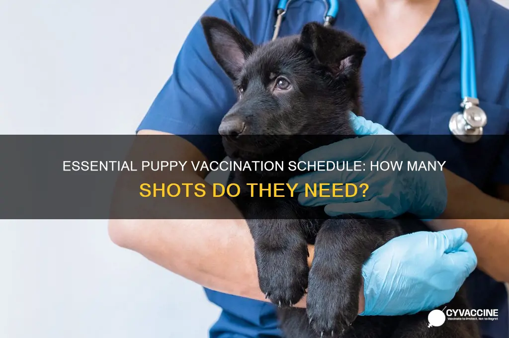 how many vaccinations do puppies have