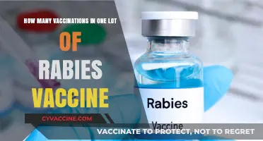 Understanding Rabies Vaccine Lots: How Many Doses Are Included?